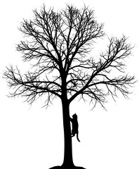 Black cat silhouette climbing a bare tree trunk in stark contrast.