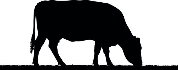 Black silhouette of a grazing cow on a white background.