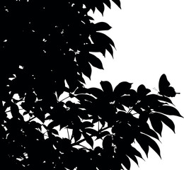 Silhouette of a butterfly perched on a leafy branch against a white background.