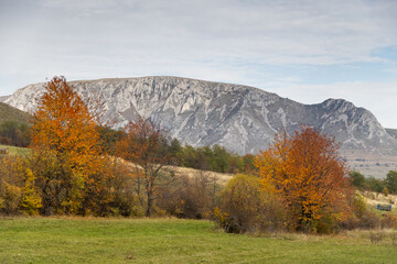Naklejka premium amazing autumn landscape with colorful trees