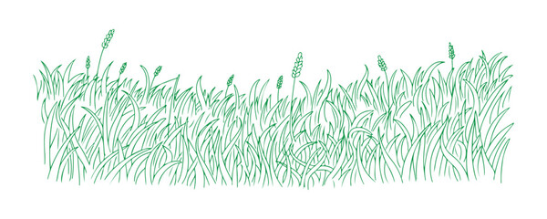 Fototapeta premium A meadow sketched by hand. Cartoon art isolated on a white backdrop.