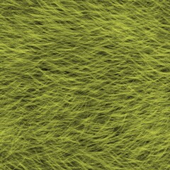 green grass background
