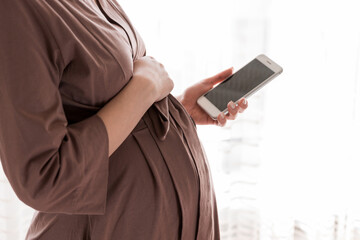 Pretty young pregnant woman standing by the window and texting message in home
