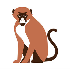 Vervet Monkey vector icon on white background