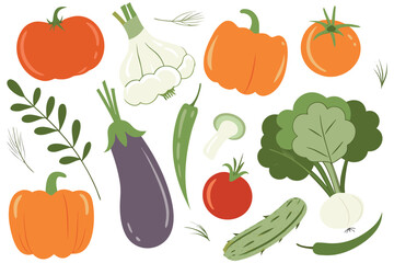 Fototapeta premium Assortment of fresh vegetables and herbs hand drawn illustration