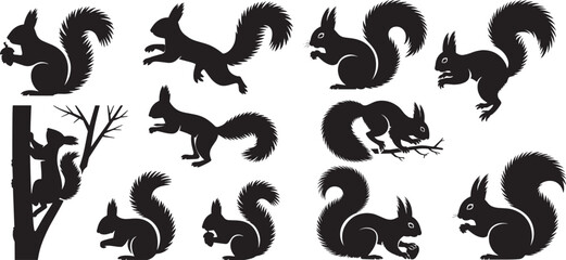 Squirrel silhouettes set, in various poses like walking, running, jumping, and sitting. vector illustrator © farwa atima