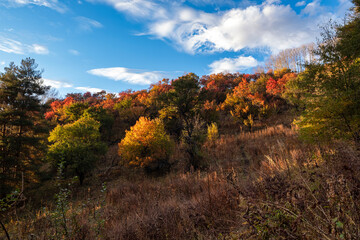 Autumn landscape in the mountains at sunset near Almaty, Kazakhstan.
