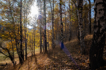 Autumn landscape in the mountains at sunset near Almaty, Kazakhstan.
