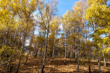 Autumn landscape in the mountains at sunset near Almaty, Kazakhstan.