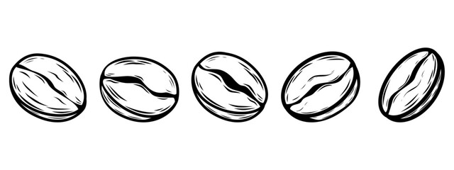 Minimalist line art banner featuring five coffee beans in a row. Perfect for cafe branding, website header, menu design, and packaging layout.