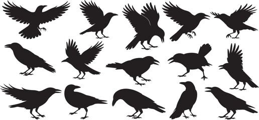 Obraz premium Crow silhouette vector set, crow and raven silhouette set flying and standing birds vector illustrator