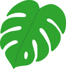 Monstera Deliciosa Leaf and Swiss Cheese Plant Tropical Foliage Vector Icons Collection