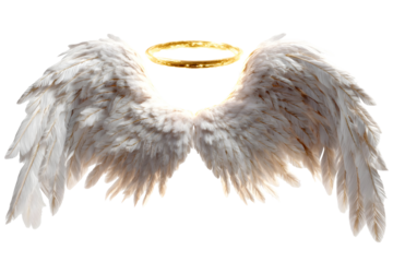 Angel wings with soft white feathers and glowing halo