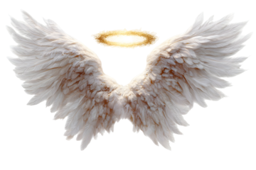 Majestic angel wings with glowing halo and soft white feathers for celestial theme