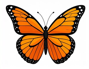 Fototapeta premium Butterfly (Monarch) orange monarch butterfly, symbolic for Día de los Muertos 