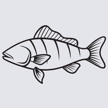 European perch fish water line art icon silhouette vector art illustration, fish on a white background