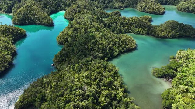 Raja Ampat. Indonesia. Aerial view of lush tropical islands and turquoise lagoons in showcasing pristine nature and coral-rich waters.	