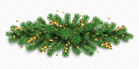 Vector realistic pine tree branches with golden confetti and ribbons isolated on a transparent background. Holiday Christmas tree garland for winter decoration banner, poster, greeting card.
