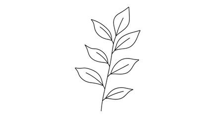 Vector  a delicate sprig with several leaves arranged along its stem in a simple line drawing style