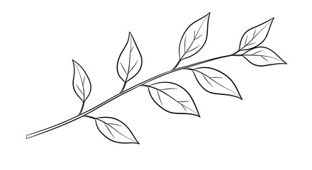 Vector  illustration of a branch with several leaves sprouting from it in a simple line drawing style