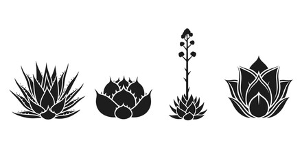 Vector  four different kinds of agave plants are displayed in a row in a simple graphic design