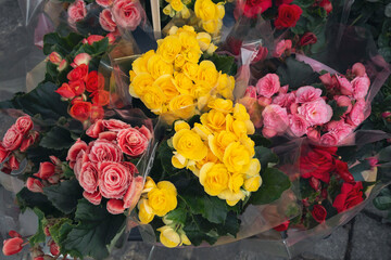 Ramos de flores de diferentes colores en el mercado