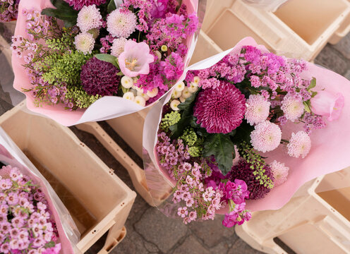 Flores con tonos morados y rosa