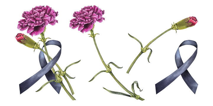 Watercolor illustration red and pink carnations tied with black mourning ribbon. Set for memorial cards remembrance events May 9 and awareness campaigns for melanoma and mental health support.