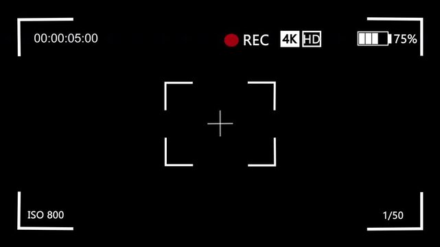 Digital camera viewfinder recording screen interface