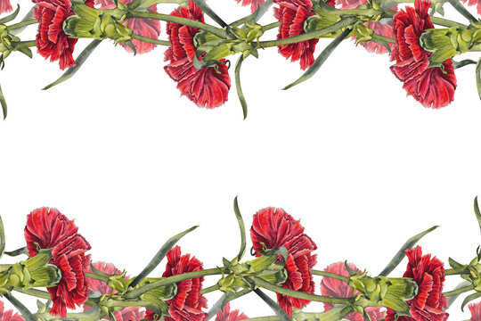 Watercolor frame red carnations and green stems in realistic botanical style. Illustration for floral borders packaging textile design greeting cards Memorial Day May 9 Spain and Portugal. - Powered by Adobe