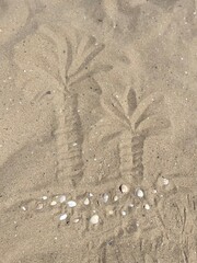 Driving of a palm  tree on the sand
