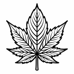 A black and white line drawing of a cannabis leaf with distinct veins and serrated edges, isolated on a white background.