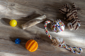 Pet toys on the floor