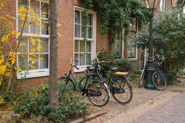 Bicycles parked by ivy-covered brick building on autumn afternoon