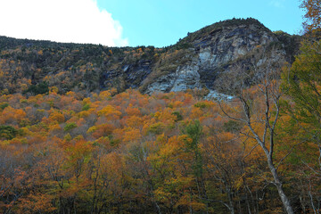 autumn landscape in the mountains