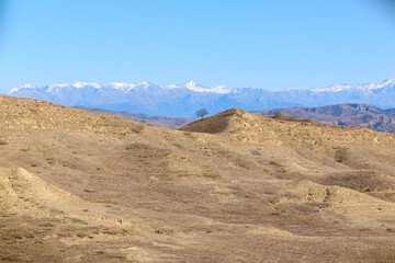 Sunlit Rolling Hills With Dry Grass and Sparse Trees in Vashlovani National Park, Georgia