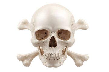 Fototapeta premium Detailed human skull with crossbones: anatomy and symbolism