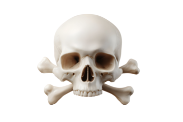 Realistic human skull and crossbones symbol on white background