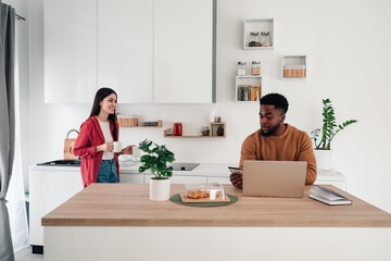Interracial couple doing online shopping using laptop in kitchen