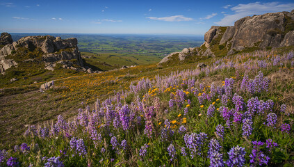 Fototapeta premium Stunning Mountain View with Wildflowers in Full Bloom