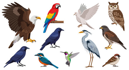 Obraz premium Illustration showcasing a diverse collection of birds including an eagle, parrot, owl and other species