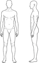 Male body anatomy front and side view vector illustration, human body outline sketch for medical study, art, and design reference