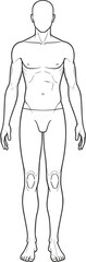 Male human body anatomy outline front view vector illustration for medical study, education, science, health, fitness, and anatomical reference