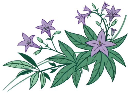 Delicate purple star shaped flowers and green leaves isolated on transparent background