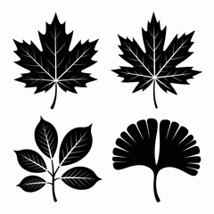 Fototapeta premium Four stylized black leaf silhouettes including a maple leaf, a horse chestnut leaf, a rowan leaf, and a ginkgo biloba leaf, all isolated on a white background.