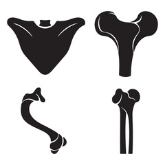 Naklejka premium Silhouette Collection Of Human Bones On White Background Keywords: bone, skeleton, anatomy, human, medical