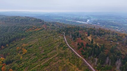 Lush hills extend beneath a cloudy sky, interspersed with patches of colorful foliage. A winding path invites exploration in this serene autumn landscape, revealing nature s peaceful charm.