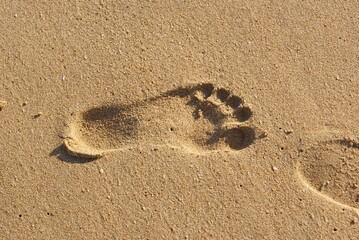 Footprint in sand showing a journey concept