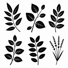 Fototapeta premium Set of six black botanical illustrations of leaves and sprigs, isolated on white background.