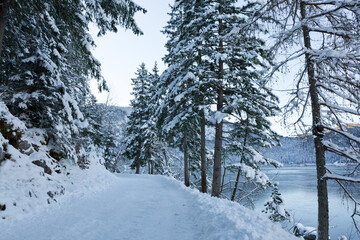 Snowy winter road in a mountain forest. Winter landscape.